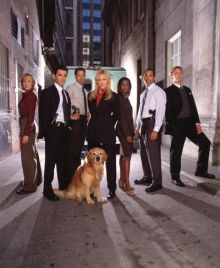 imagen: Sue Thomas: el ojo del FBI